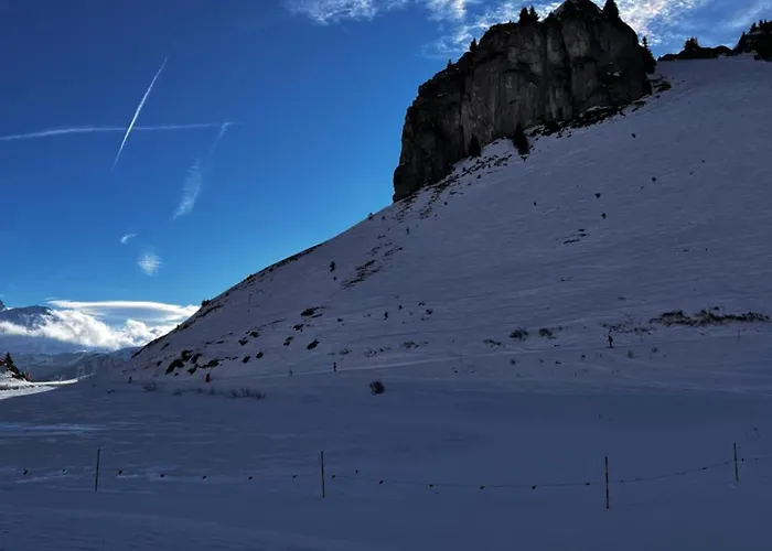 Beautiful Mountain Appartement Leysin